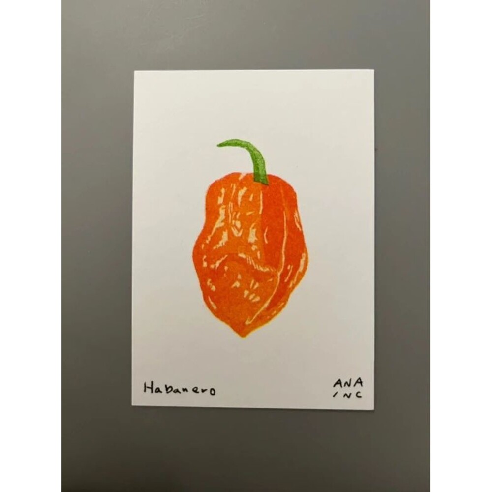 Ana Inciardi Mini Print - Habanero